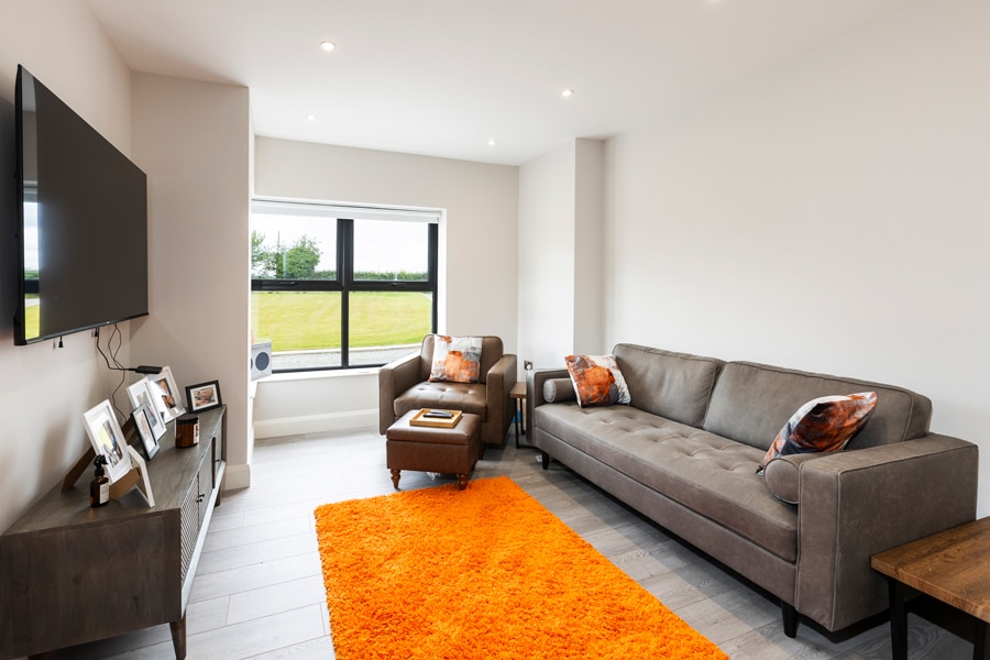 planning restrictions tyrone