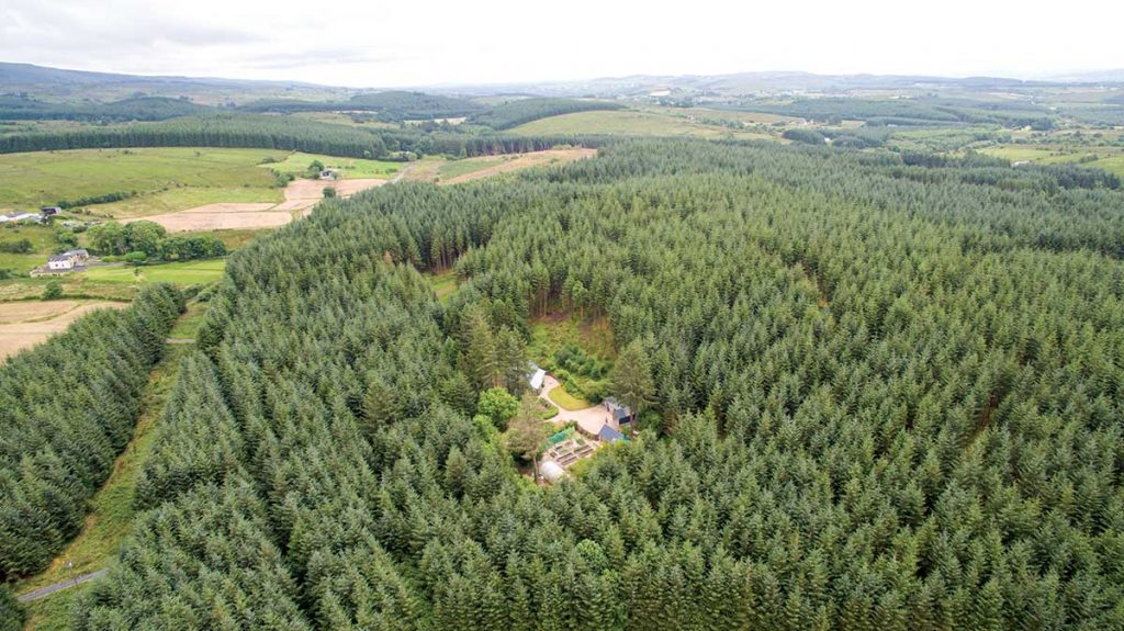 timber frame houses ireland