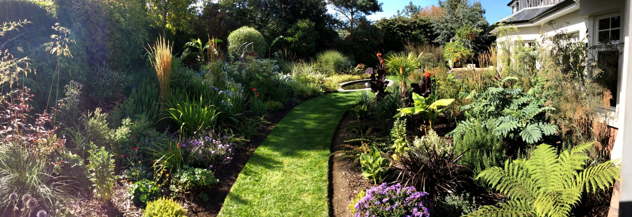 lawn